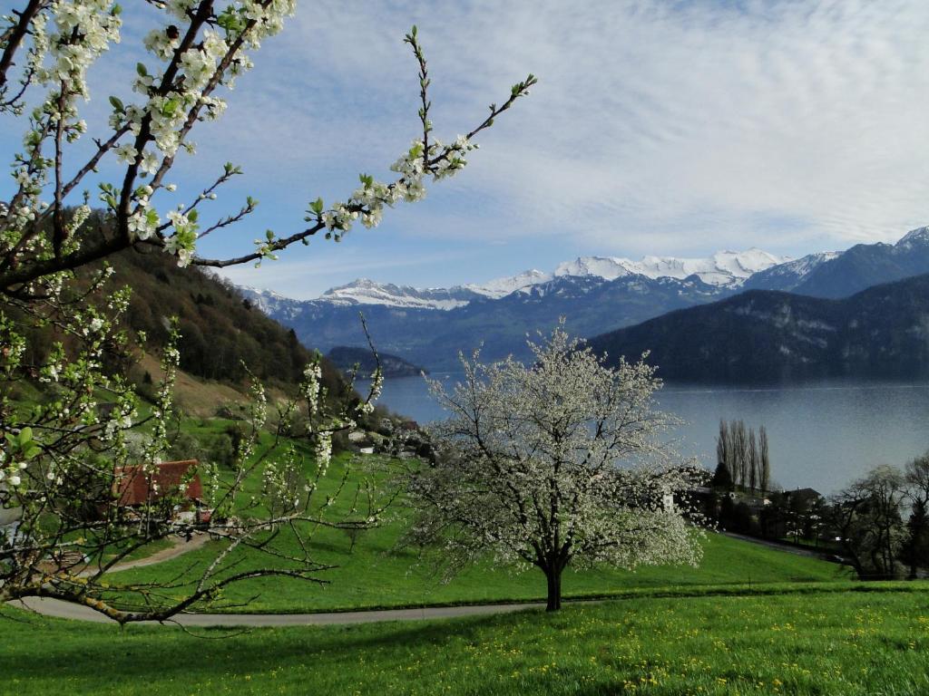 Seehotel Gotthard Weggis Exterior photo